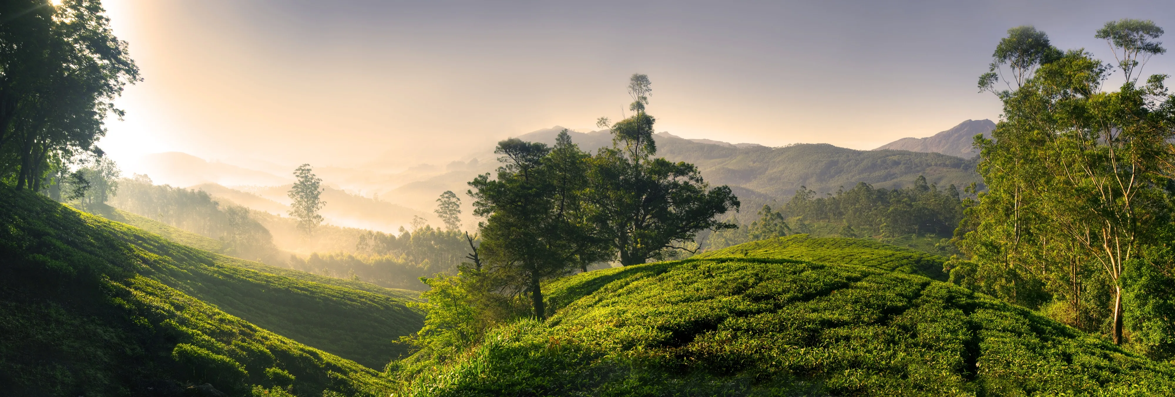 Odisea por el este de la India: Calcuta, las colinas del Himalaya y Sikkim