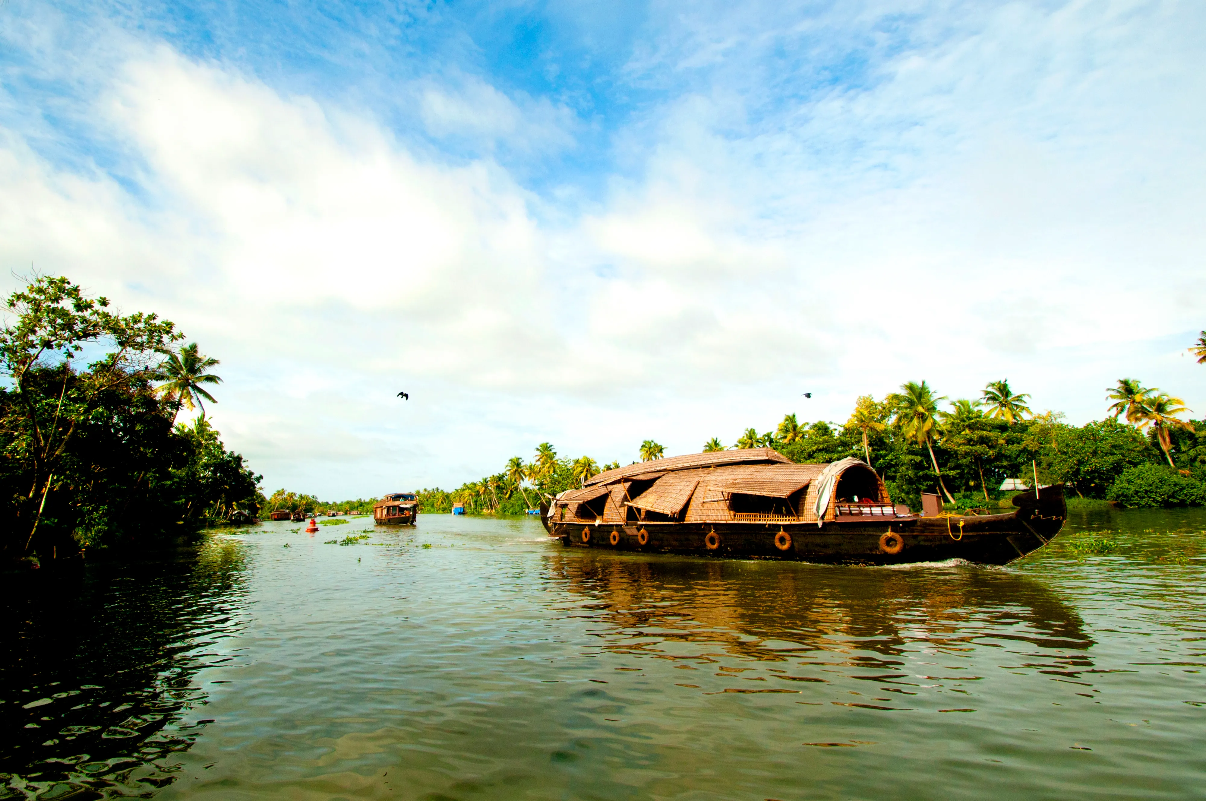 Kerala Exótica: remansos, bosques de especias y la costa de Malabar