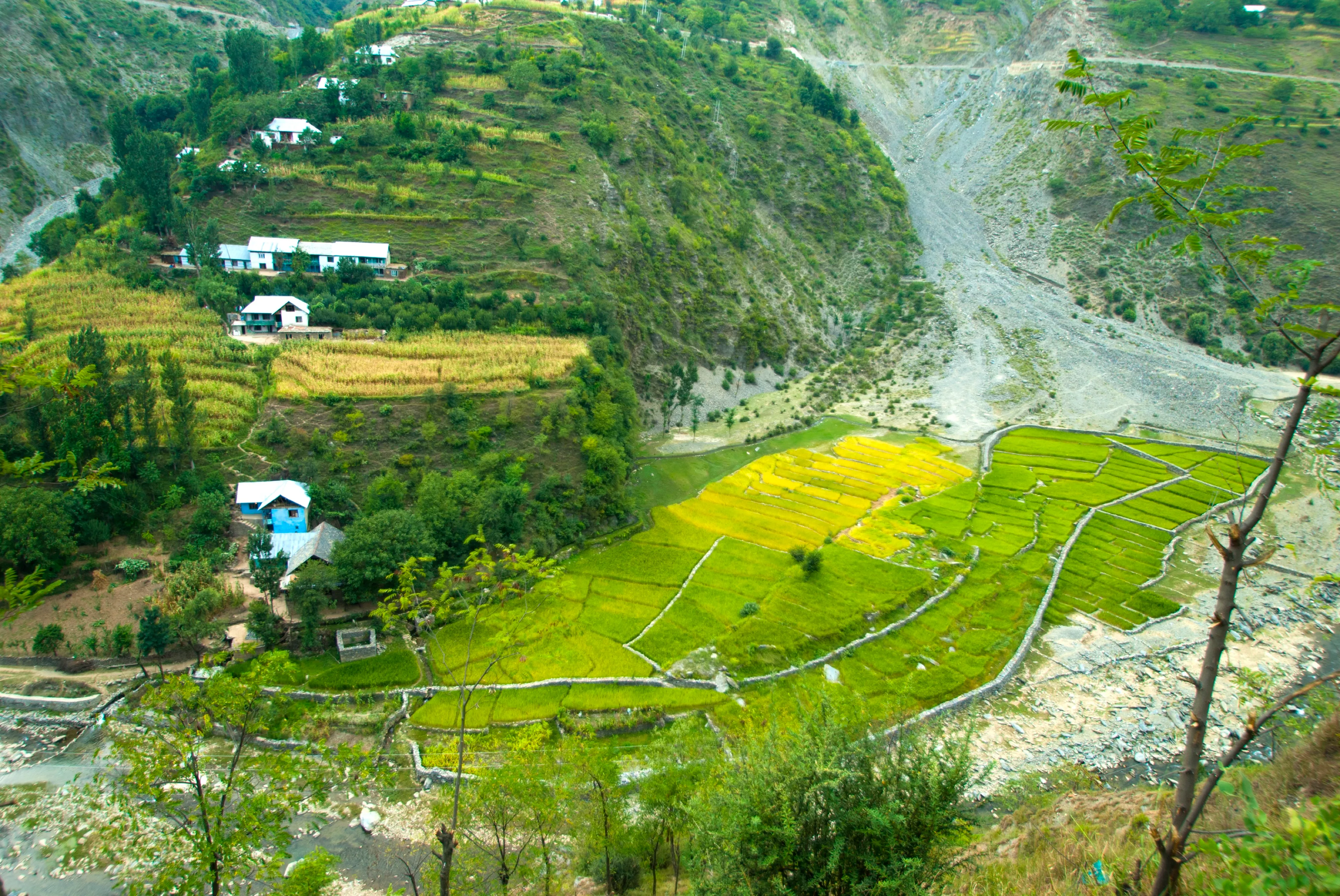 Patrimonio y Himalaya: Delhi, Cachemira y Gulmarg