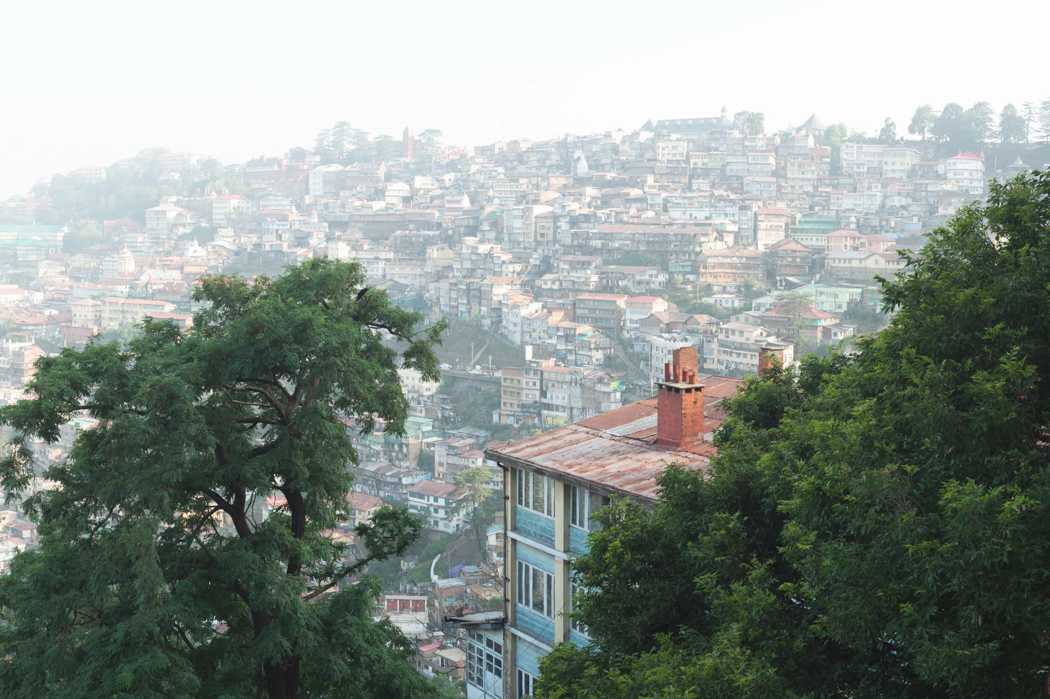 Escapada al Himalaya: Amritsar, Palampur, Shimla y Delhi