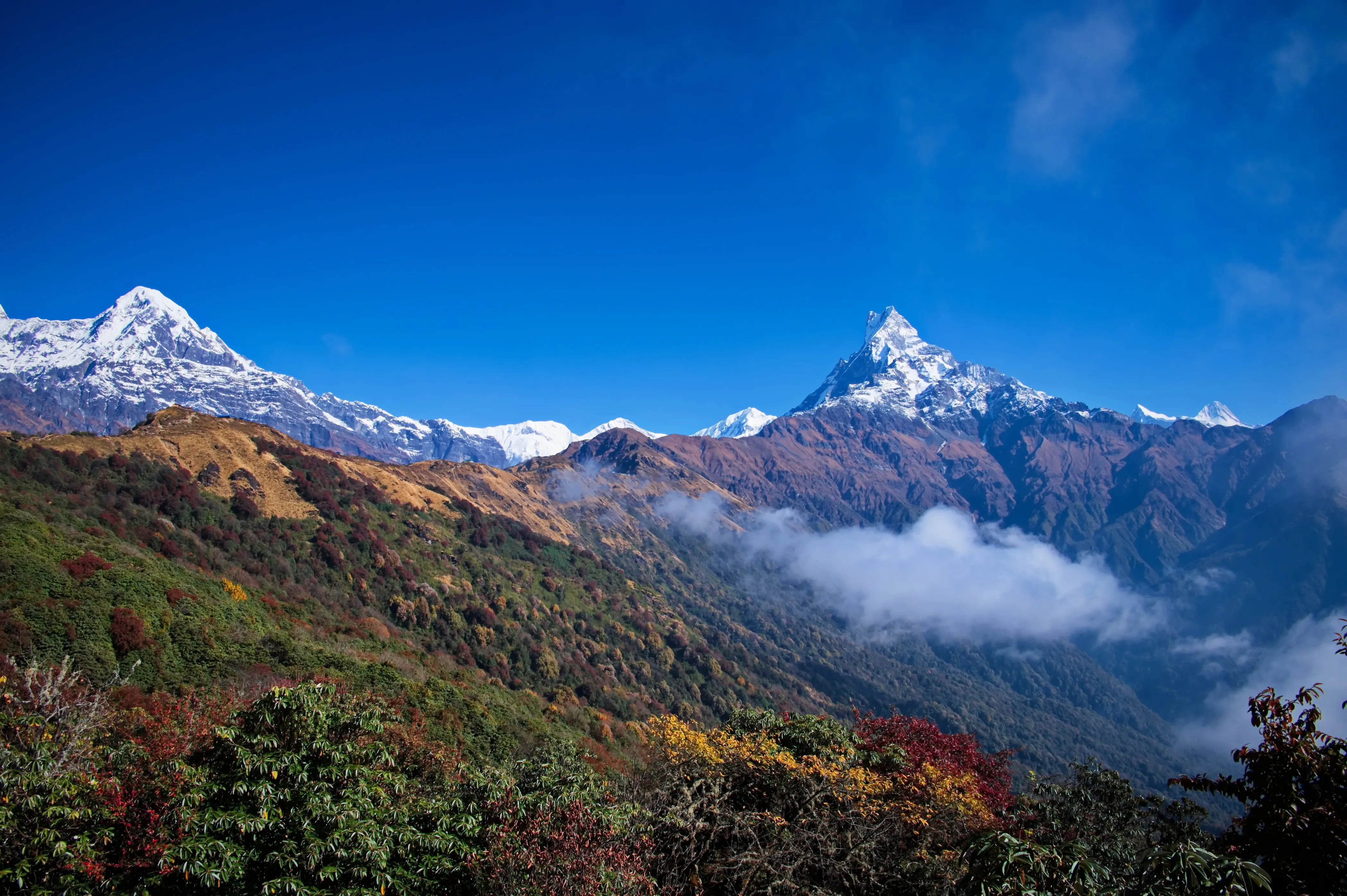 Trek corto de Mardi Himal